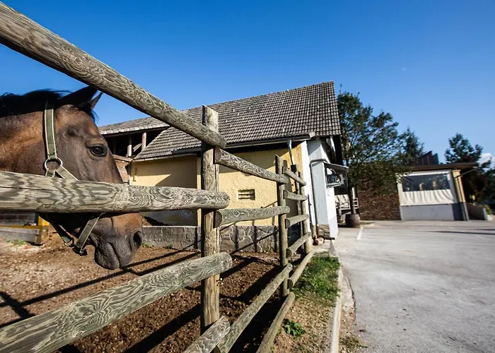 Maison d'hôtes Gostilna Pugelj 3*